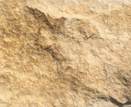 Известняк доломитизированный  коричневый скала