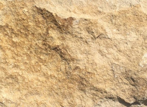 Известняк доломитизированный  коричневый скала